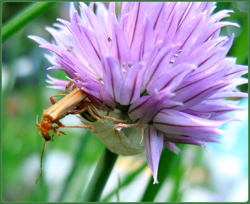 � �����... ����� Pola20  �� PhotoGeek.ru #�������� ��� #������ ��� ������� #���������