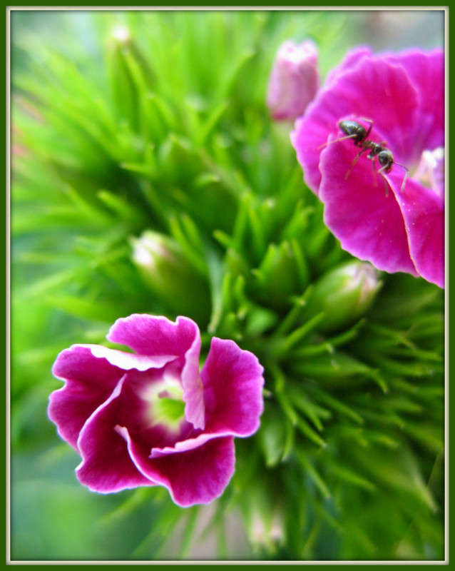 ... ����� Pola20  �� PhotoGeek.ru #������ ��� ������� #����� ��������������