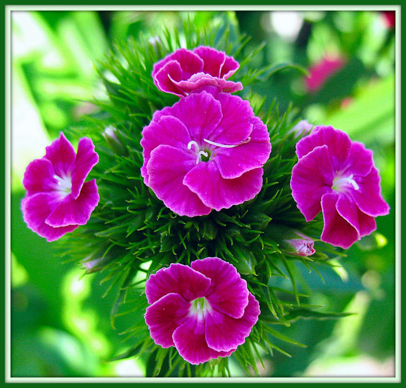 ����������� ����� ����� Pola20  �� PhotoGeek.ru #������ ��� ������� #����� ��������������