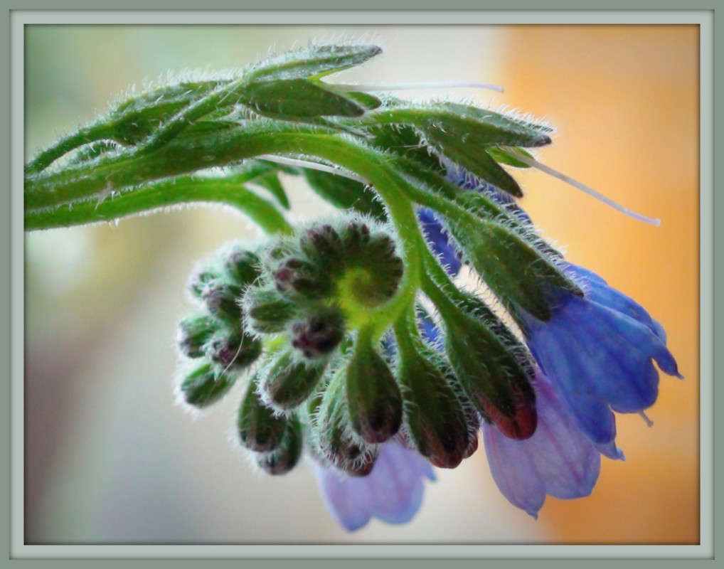 ��������� ����� Pola20  �� PhotoGeek.ru #������ ��� ������� #����� ��������������