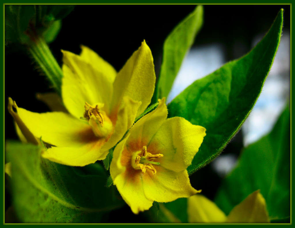 ��������� ����� Pola20  �� PhotoGeek.ru #������ ��� ������� #����� ��������������