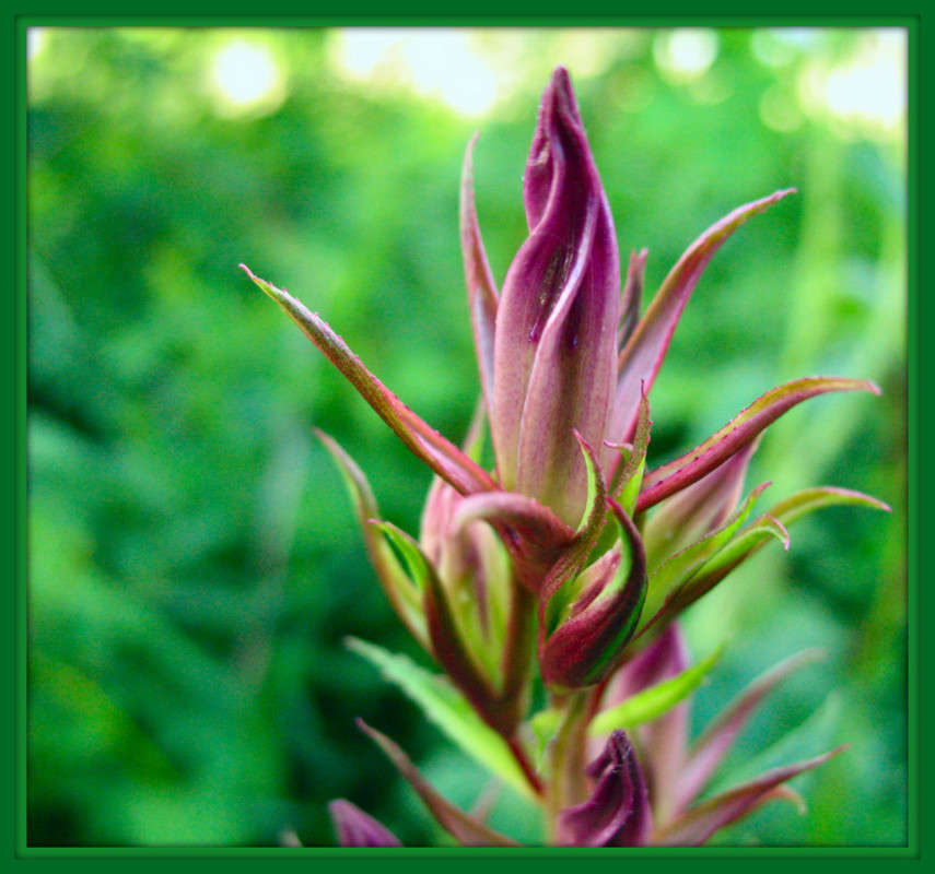 �����))) ����� Pola20  �� PhotoGeek.ru #������ ��� ������� #����� ��������������