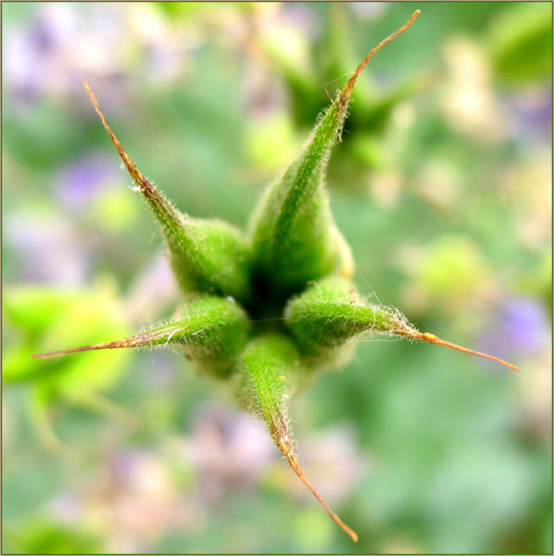 ... ����� Pola20  �� PhotoGeek.ru #����� #������ ��� ������� #����� ��������������