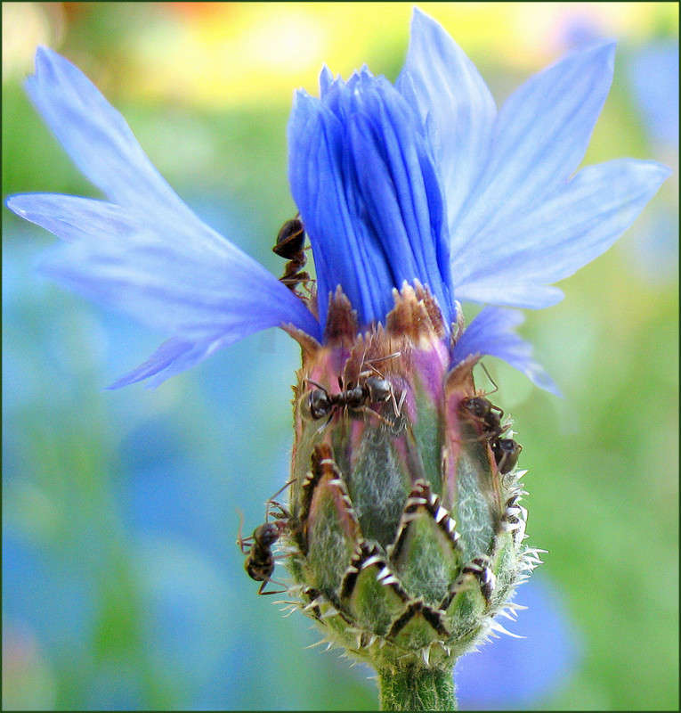 ���������))) ����� Pola20  �� PhotoGeek.ru #������ ��� ������� #��������� #����� ��������