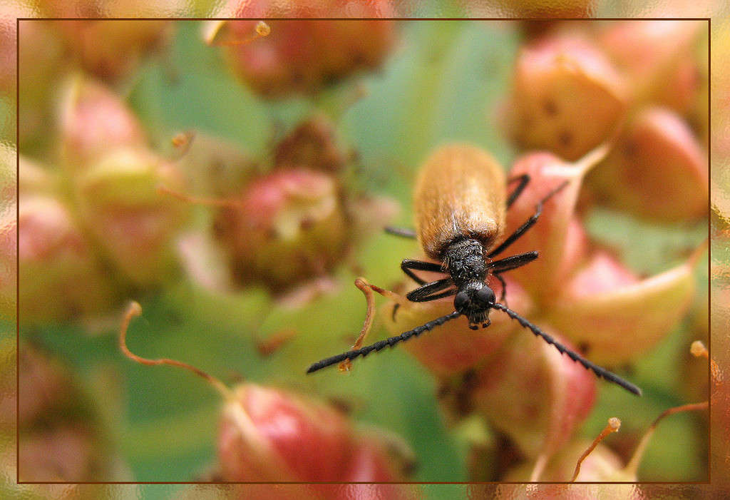 ��� ����� Pola20  �� PhotoGeek.ru #�������� ��� #���������