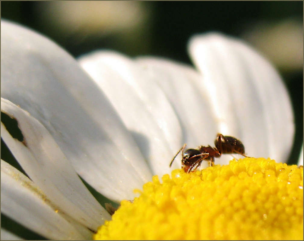 �������))) ����� Pola20  �� PhotoGeek.ru #�������� ��� #������ ��� ������� #��������� #���������