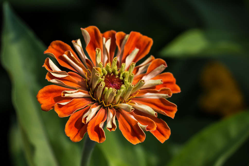 ����� ����� Pola20  �� PhotoGeek.ru #������ ��� ������� #����� �������������� #�����