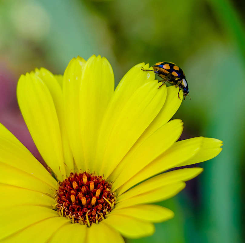 ... ����� Pola20  �� PhotoGeek.ru #������ ��� ������� #����� �������������� #���������