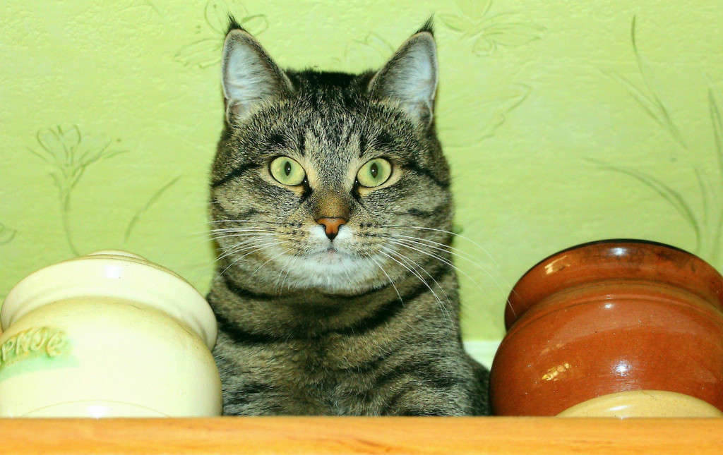 ��� ���� ��� ��������?! ����� Pola20  �� PhotoGeek.ru #�������� ��� #�������� ��� #��������