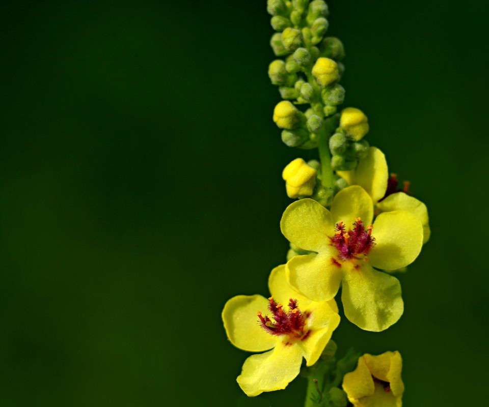 Ƹ�������� ���������� ����� Pola20  �� PhotoGeek.ru #������ ��� ������� #����� ��������������