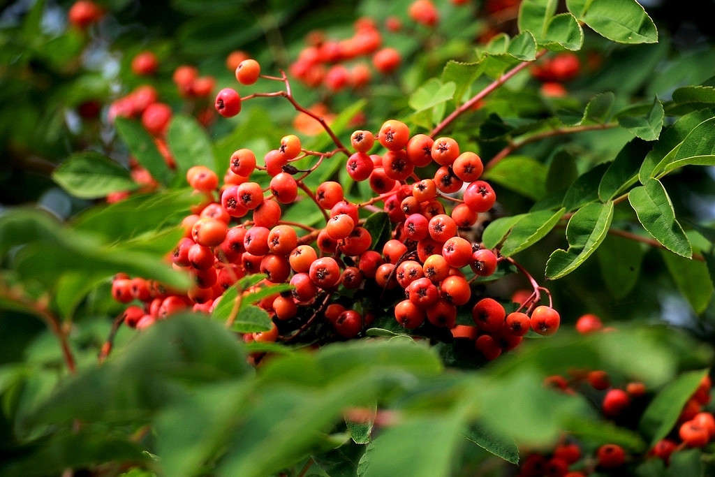 ��������� ����� Pola20  �� PhotoGeek.ru #������ ��� ������� #����� ��������������