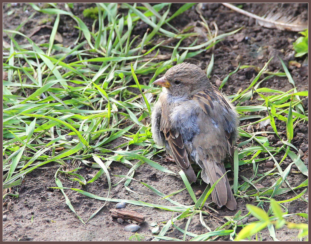 ��������� ��������� ����� Pola20  �� PhotoGeek.ru #������ ��� ������� #�����