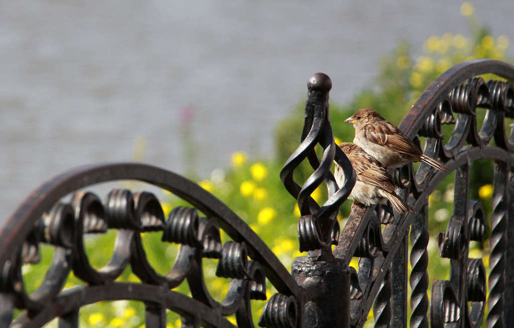 � ������ ���� ���� ���... ����� Pola20  �� PhotoGeek.ru #������ ��� ������� #��������� #����� ��������