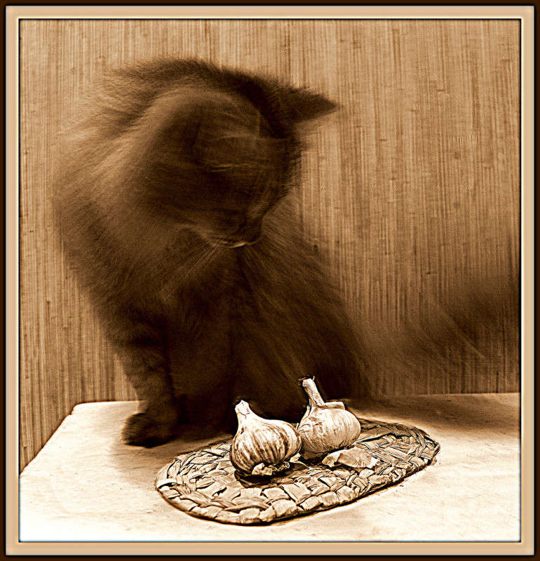 ��������� � �����))) ����� Pola20  �� PhotoGeek.ru #�������� ��� #���-����������� #�������� ���