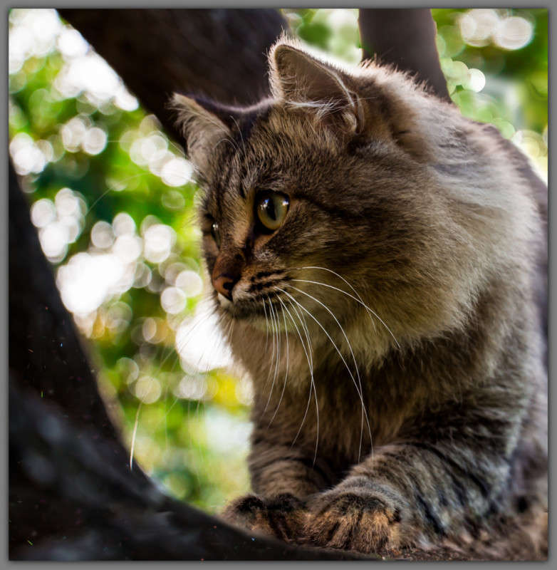 ���� ����� Pola20  �� PhotoGeek.ru #�������� ��� #�������� ���