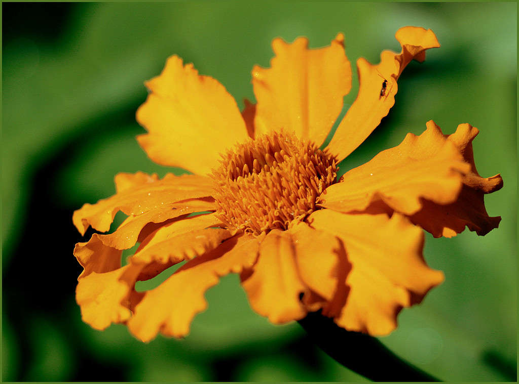 ���������))) ����� Pola20  �� PhotoGeek.ru #������ ��� ������� #����� ��������������