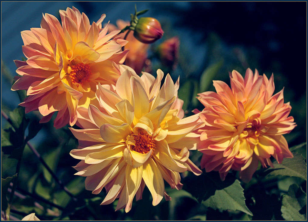 ������� ����� ����� Pola20  �� PhotoGeek.ru #������ ��� ������� #�������� #����� ��������������