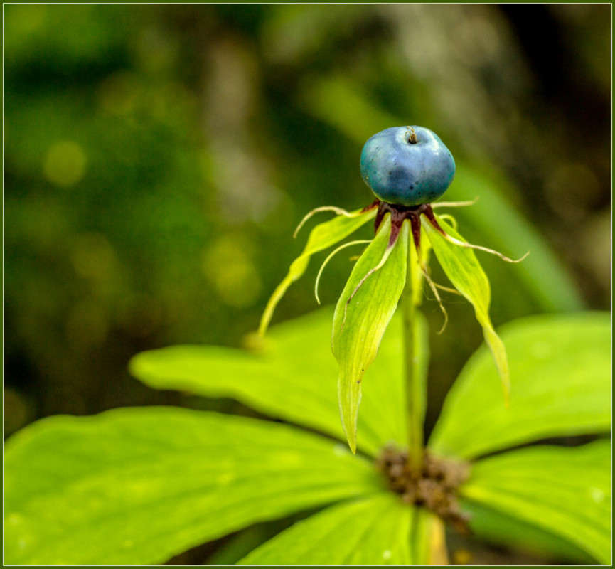 ������-������?))) ����� Pola20  �� PhotoGeek.ru #������ ��� ������� #����� ��������������