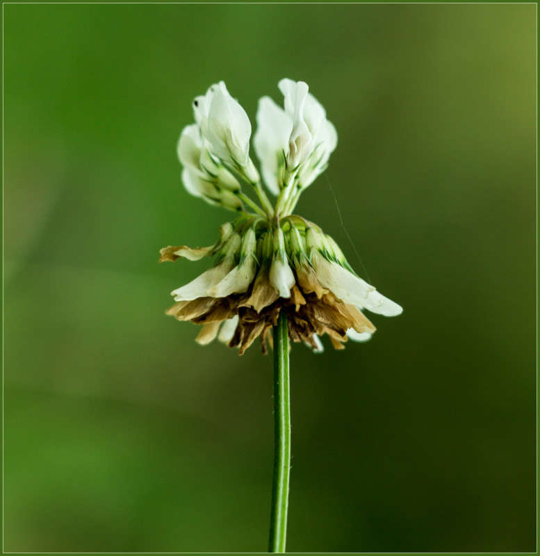 ����� ����� Pola20  �� PhotoGeek.ru #������ ��� ������� #����� ��������������