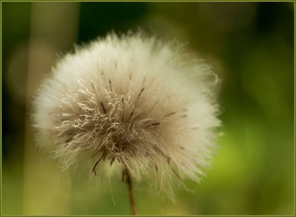 �������� ���... ����� Pola20  �� PhotoGeek.ru #������ ��� ������� #����� ��������������