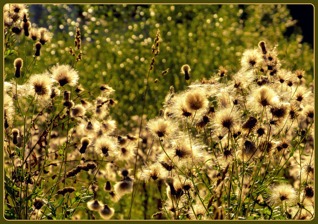 ��������� ���...))) ����� Pola20  �� PhotoGeek.ru #������ ��� ������� #����� ��������������