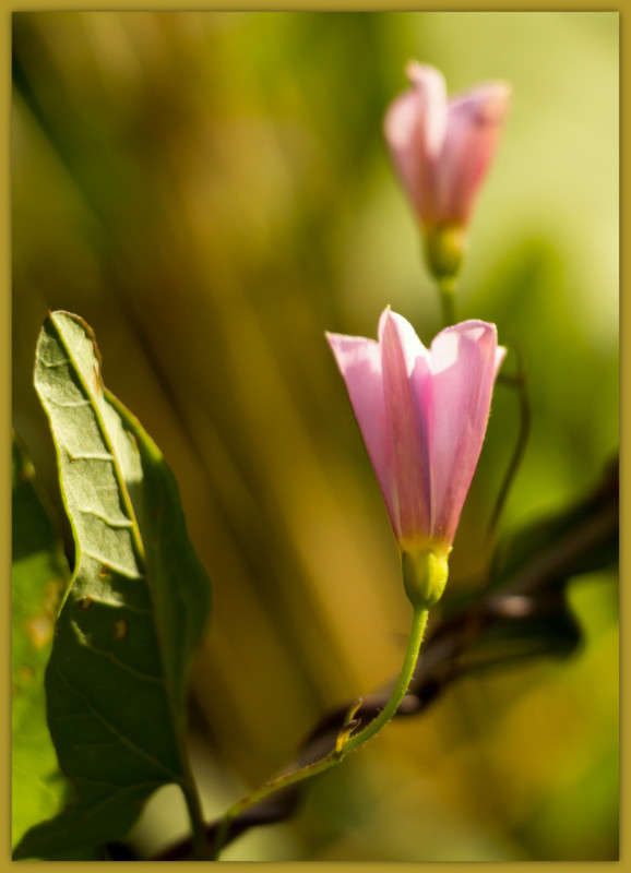 ����� ����� Pola20  �� PhotoGeek.ru #������ ��� ������� #����� ��������������