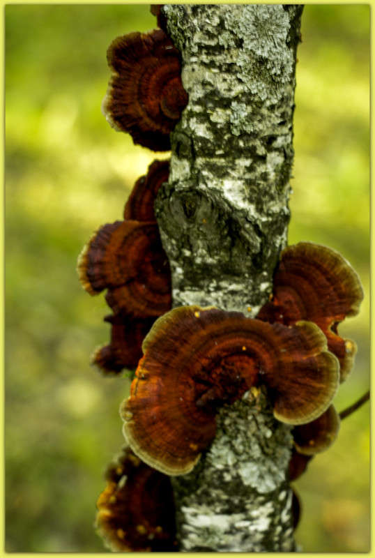 ��������))) ����� Pola20  �� PhotoGeek.ru #������ ��� �������