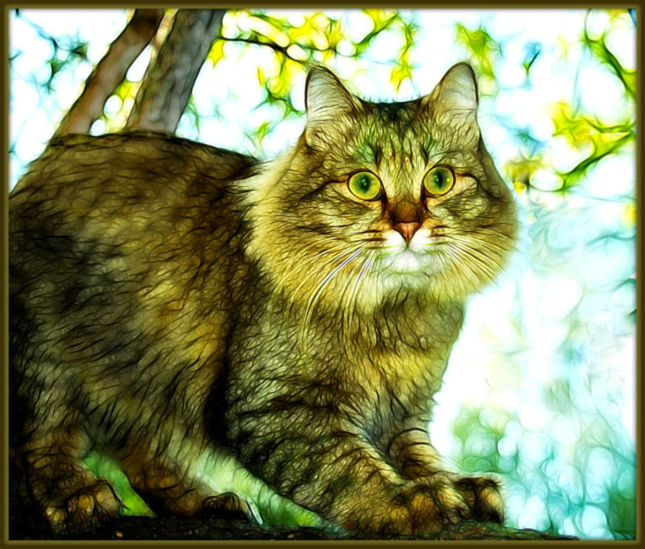 � ����� ����))) ����� Pola20  �� PhotoGeek.ru #�������� ��� #������� #���-�����������