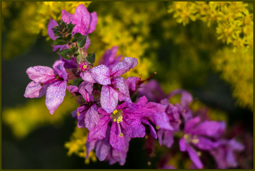 ��������... ����� Pola20  �� PhotoGeek.ru #������ ��� ������� #����� ��������������