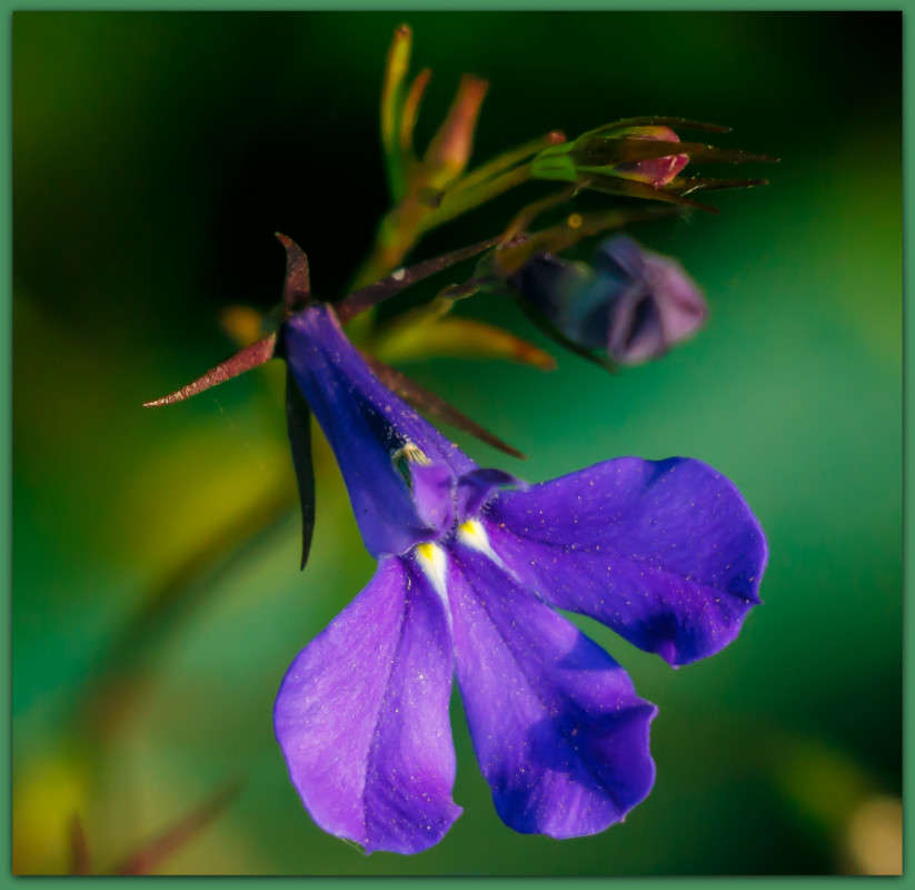 ������� ����� Pola20  �� PhotoGeek.ru #������ ��� ������� #����� ��������������