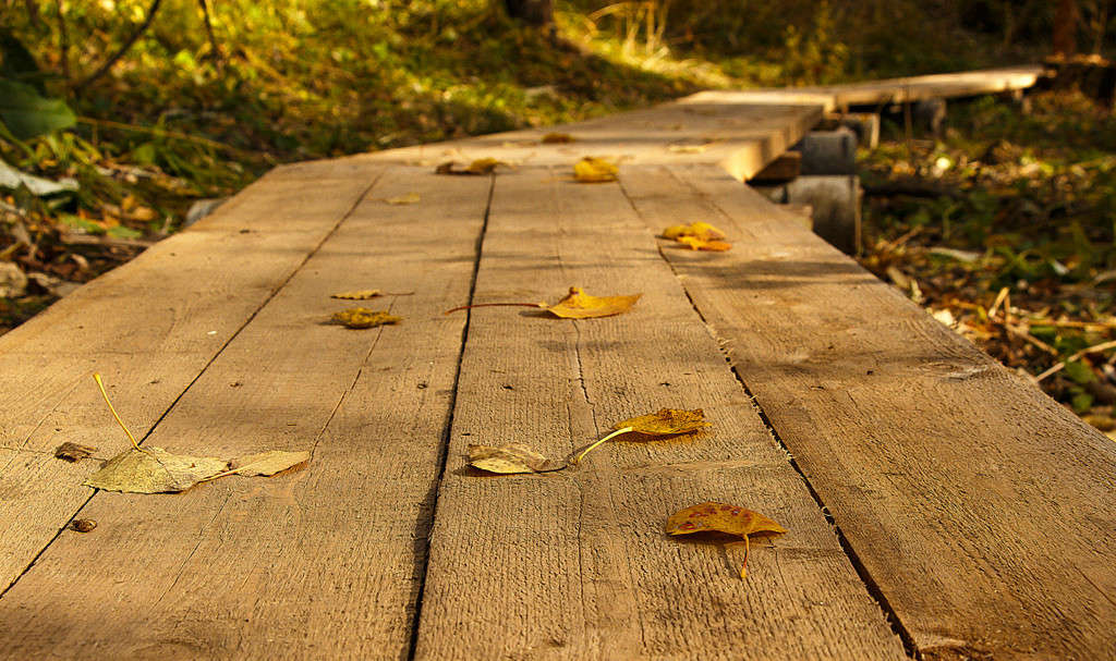 � �������... ����� Pola20  �� PhotoGeek.ru #������ ��� ������� #���������