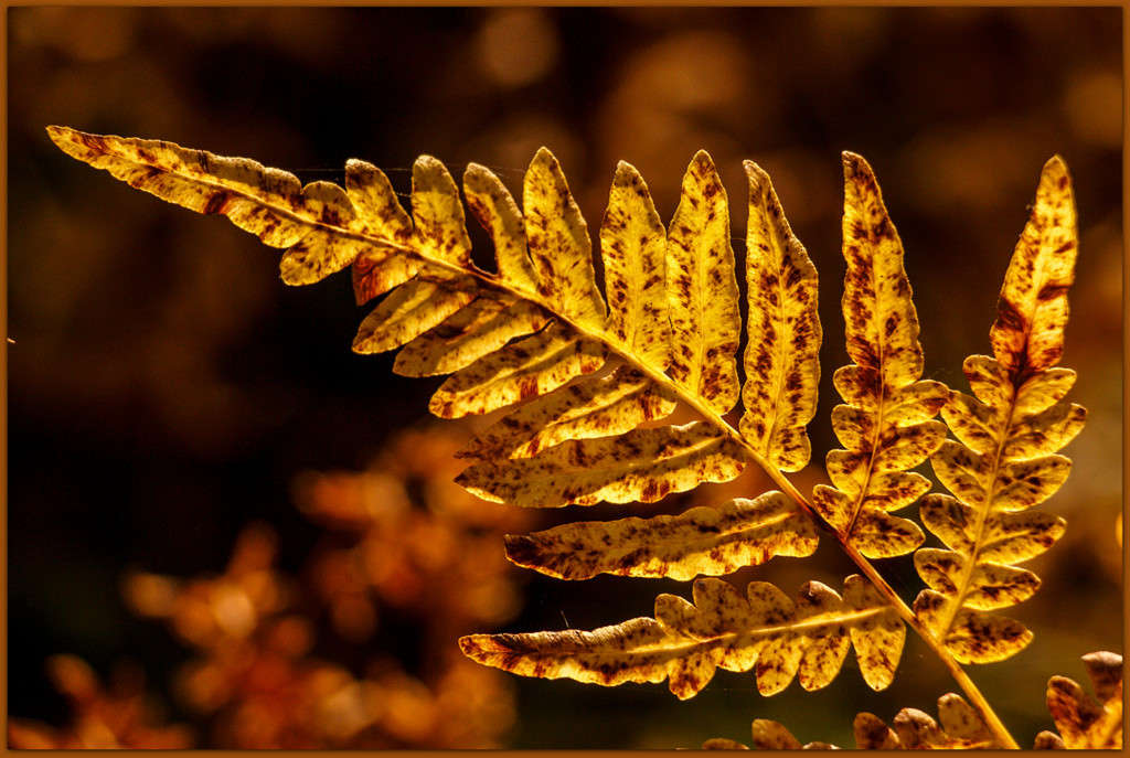 ����� ����� ����� Pola20  �� PhotoGeek.ru #������ ��� ������� #����� ��������������