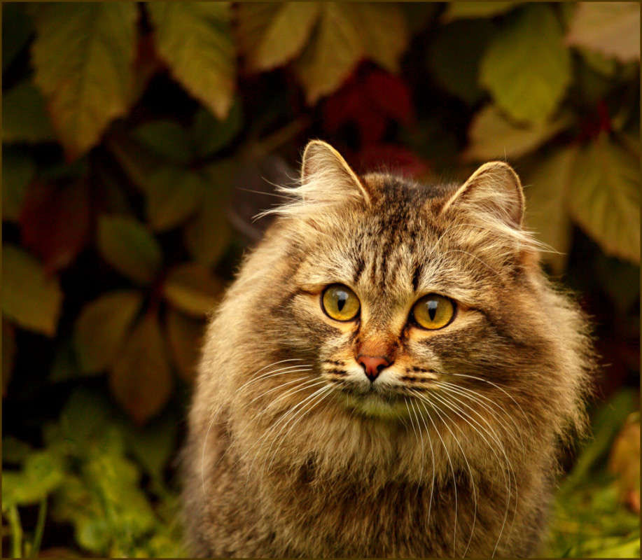 ������� ������� ����� Pola20  �� PhotoGeek.ru #�������� ��� #������� #�������� ���