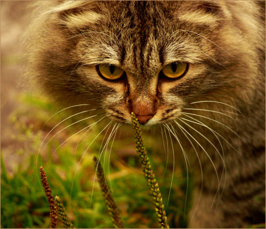 ���))) ����� Pola20  �� PhotoGeek.ru #�������� ��� #������� #�������� ���