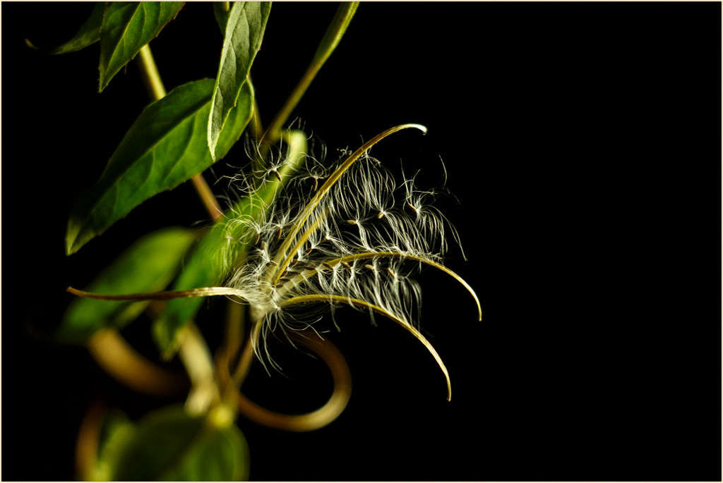 ����������... ����� Pola20  �� PhotoGeek.ru #������ ��� ������� #����� ��������������