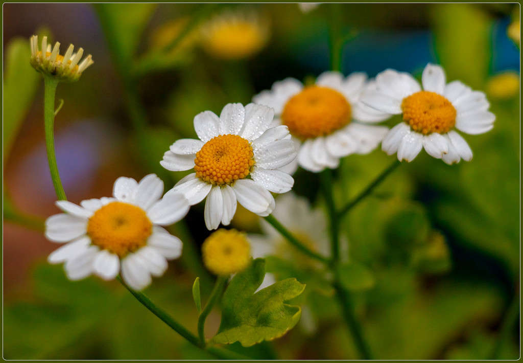 �������� ����� Pola20  �� PhotoGeek.ru #������ ��� ������� #����� ��������������