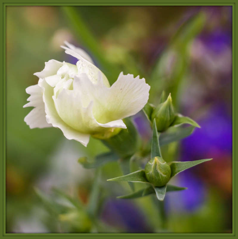 ��������� ����� Pola20  �� PhotoGeek.ru #������ ��� ������� #����� ��������������