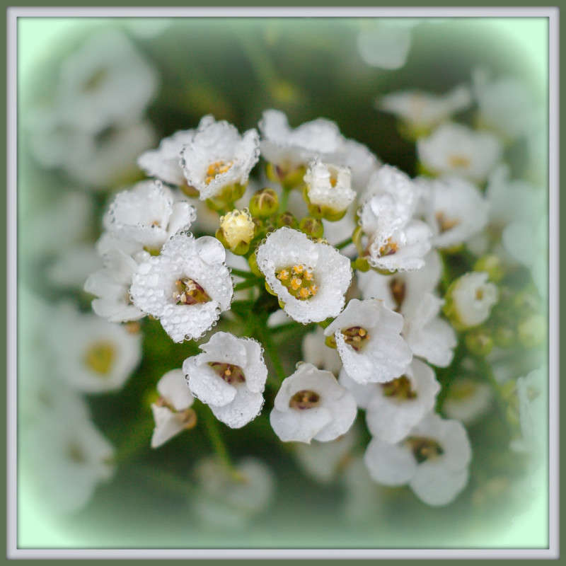 ����� ������� �����))) ����� Pola20  �� PhotoGeek.ru #������ ��� ������� #����� ��������������