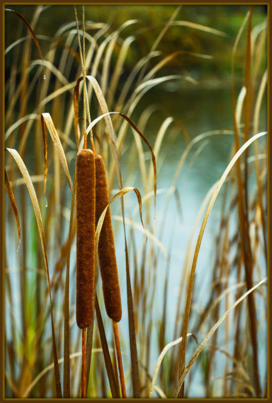 ������ ��� ������� �����... ����� Pola20  �� PhotoGeek.ru #������ ��� ������� #����� �������������� #���������