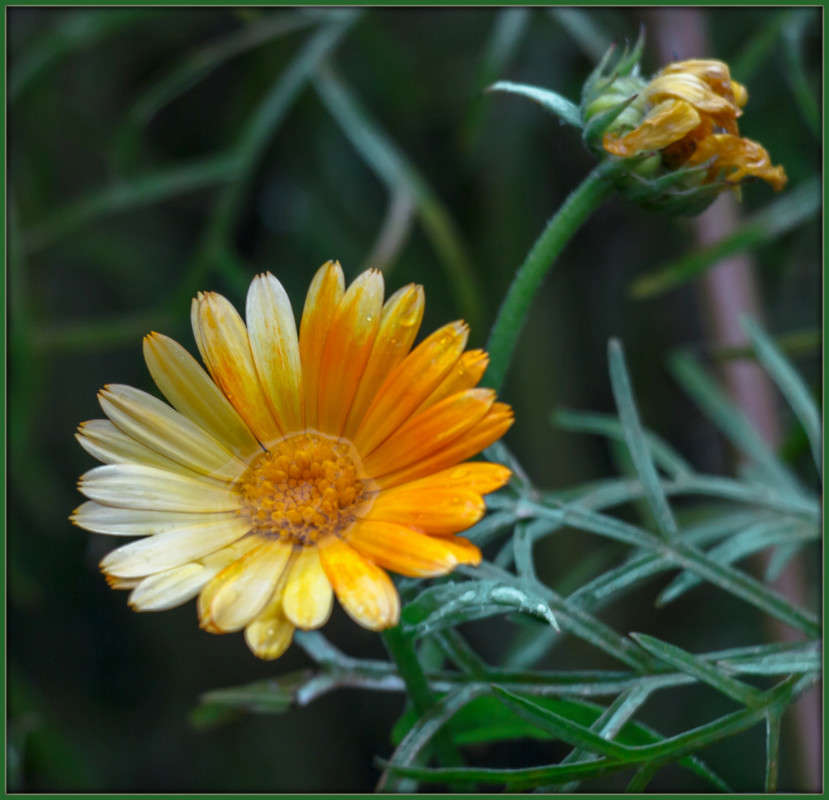 ���� ����� � ������... ����� Pola20  �� PhotoGeek.ru #������ ��� ������� #����� ��������������