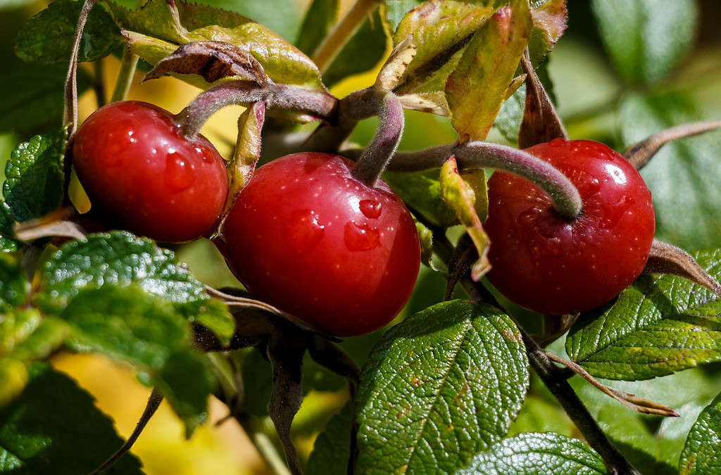 �����������))) ����� Pola20  �� PhotoGeek.ru #������ ��� ������� #����� ��������������