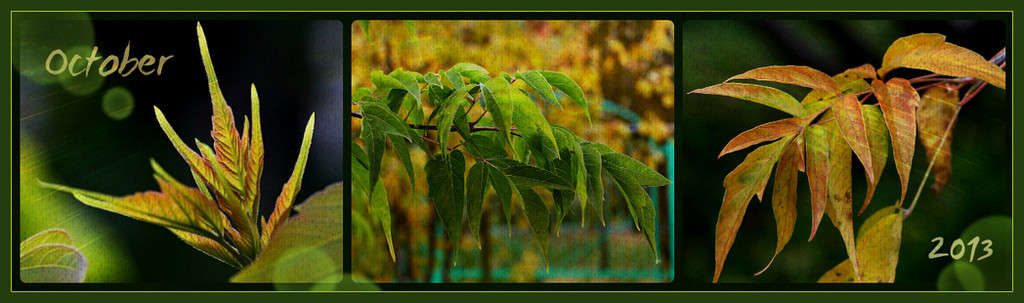 ... ����� Pola20  �� PhotoGeek.ru #������ ��� ������� #���-�����������