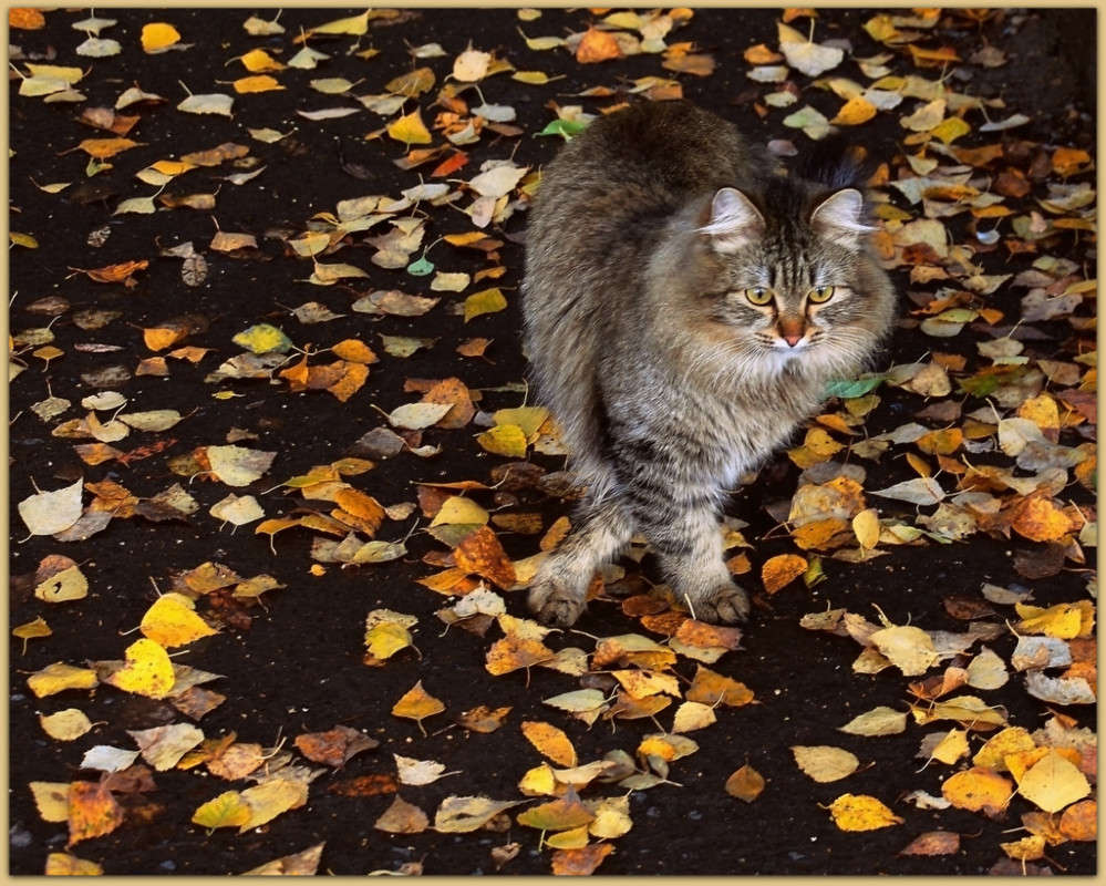 �����-������ ����� Pola20  �� PhotoGeek.ru #�������� ��� #�������)))