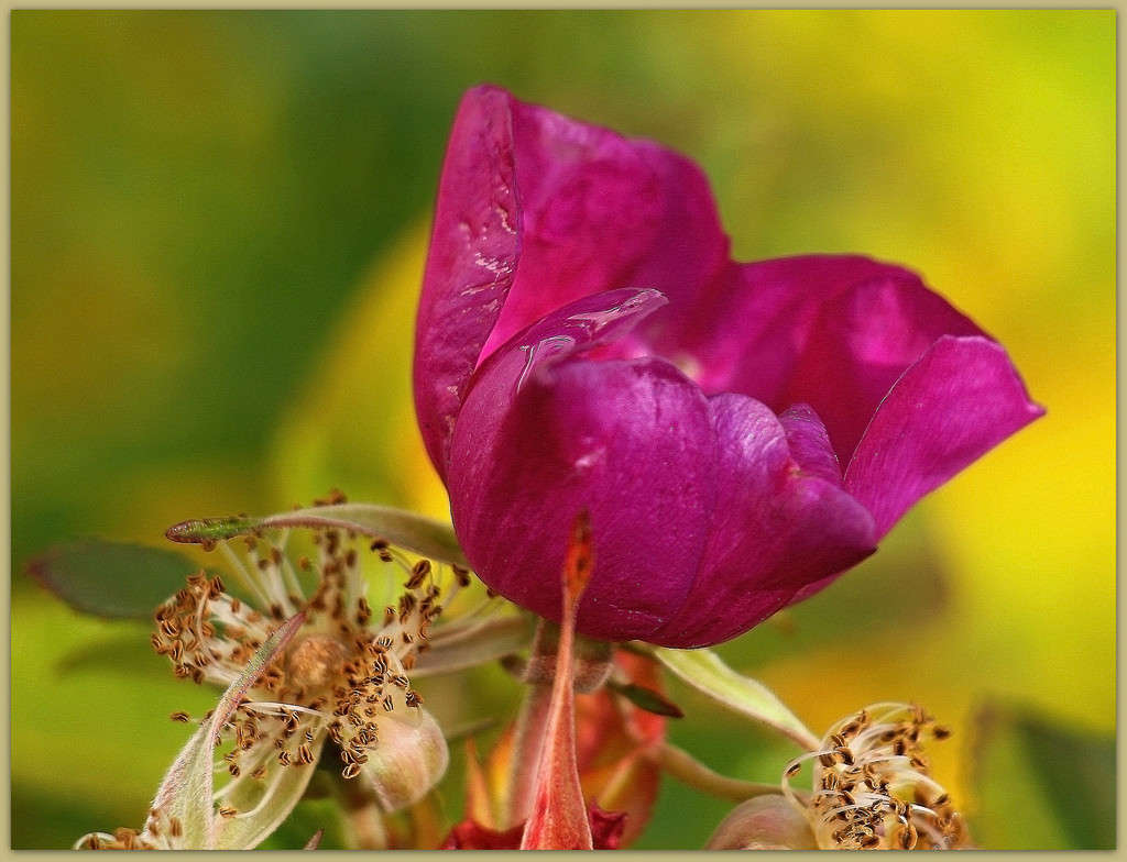 ��������� ������ �� ����... ����� Pola20  �� PhotoGeek.ru #������ ��� ������� #����� ��������������