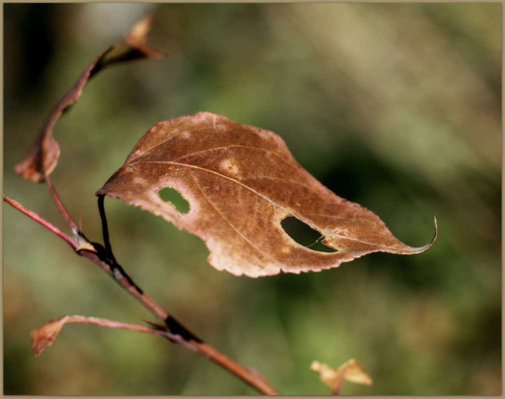 ������� ����� Pola20  �� PhotoGeek.ru #������ ��� ������� #����� �������������� #���������