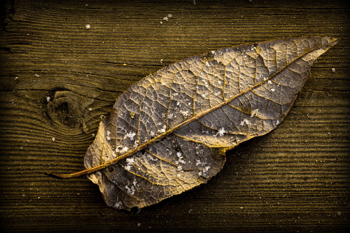 ������� ����� ����� Pola20  �� PhotoGeek.ru #������ ��� ������� #���������