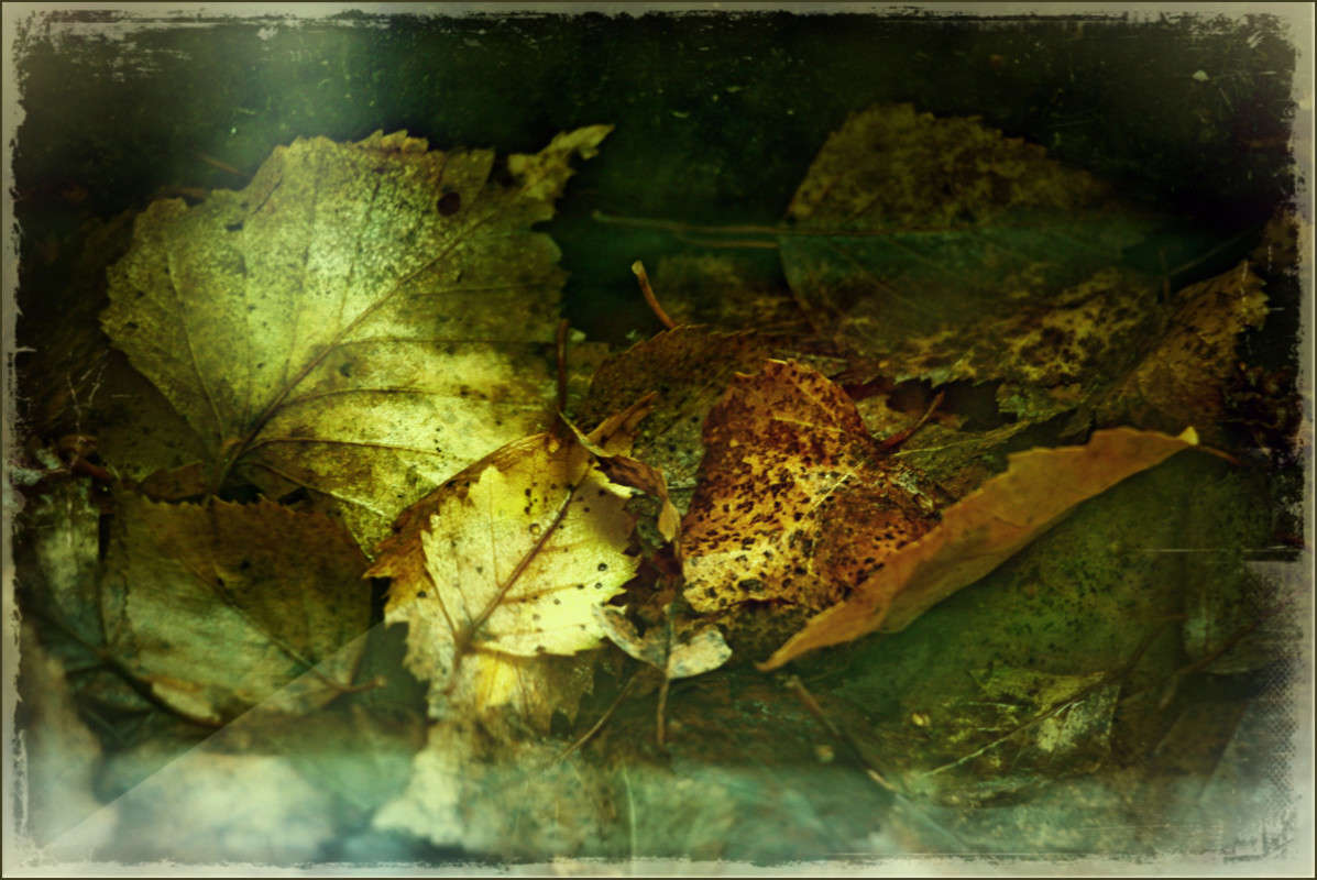 ���� ����� Pola20  �� PhotoGeek.ru #���-����������� #��������� #���������������...