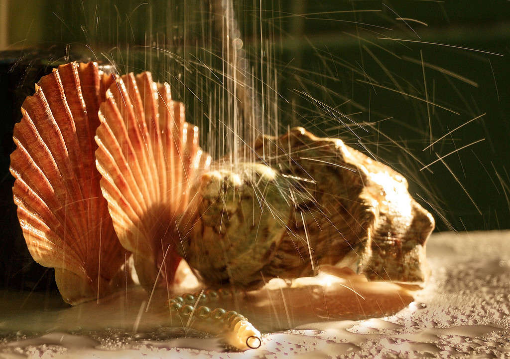 ��������� ����... ����� Pola20  �� PhotoGeek.ru #��������� #�������������