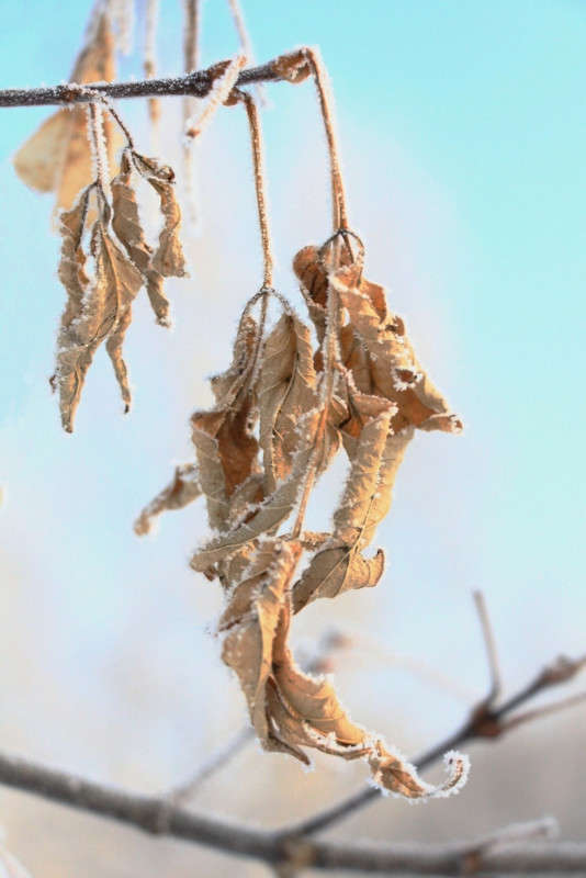 ��� � ������������... ����� Pola20  �� PhotoGeek.ru #������ ��� �������