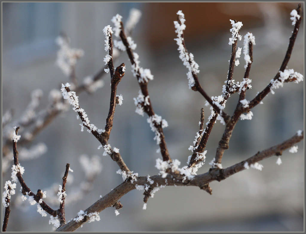 ��� �� ������))) ����� Pola20  �� PhotoGeek.ru #������ ��� ������� #���������